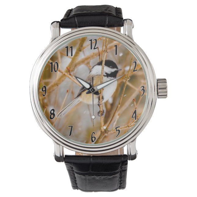 Montre Chickadee au plafond noir - Photo originale (devant)