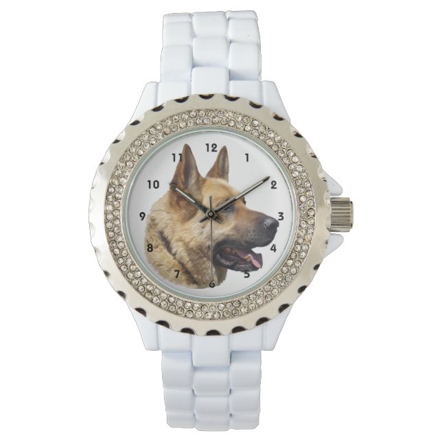Montre Chien berger allemand alsacien (devant)