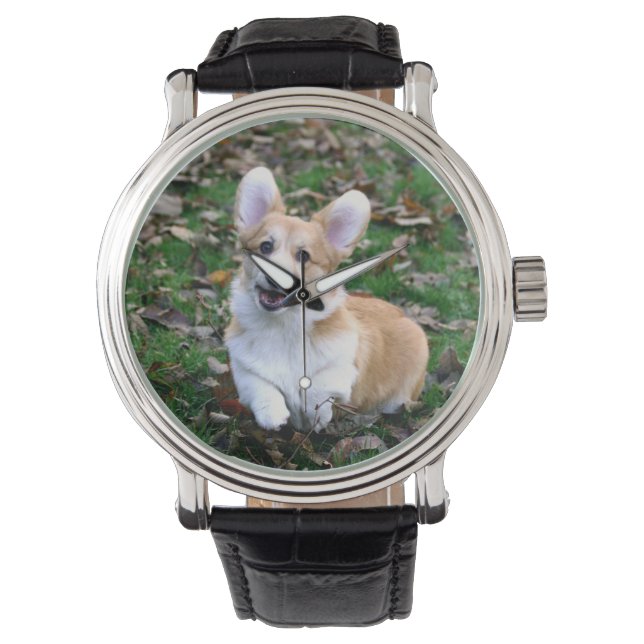 Montre Chien de Corgi mignon qui bondit (devant)