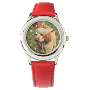 Montre Chien de Goldendoodle