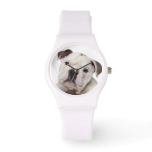 Montre Chien de taureau anglais (2 mois)