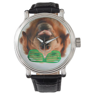 Montre Chien des images de Getty avec des verres