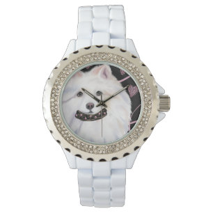 Montre Chien Esquimau Américain