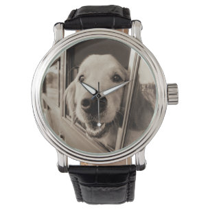 Montre Chien jetant un coup d'oeil une fenêtre de voitur