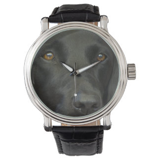 Montre Chien noir du Labrador