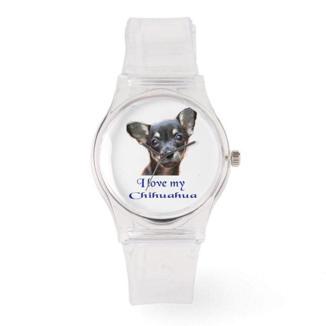 Montre Chihuahua (Recto)