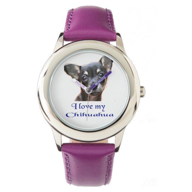 Montre chihuahua (devant)