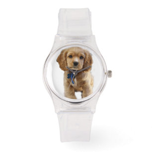 Montre chiot cocker spaniel à surveiller