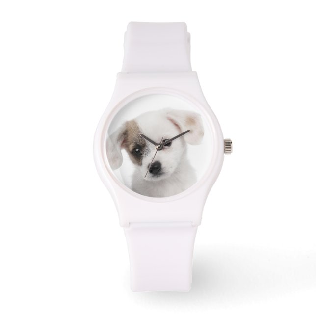 Montre Chiot de race croisée (2 mois) (Recto)