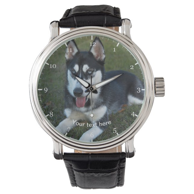 Montre Chiot sibérien Husky (devant)