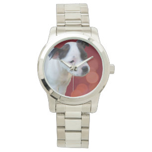 Montre Chiot Terrier Noir Et Blanc Du Staffordshire