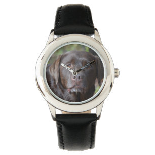 Montre Chocolat adorable labrador retriever