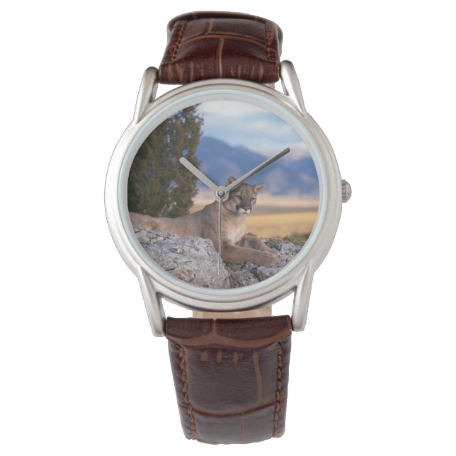 Montre Classique Mens/Lion de Montagne Faune (devant)