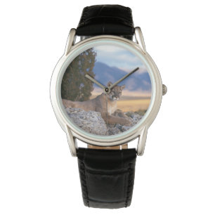 Montre Classique Mens/Lion de Montagne Faune