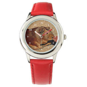Montre Cobaye de regard de Corkboard