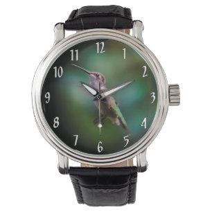 Montre Colibri à gorge rubis - Photo originale
