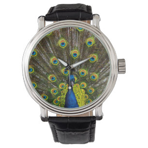Montre Colorful peacock