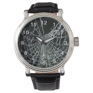 Montre congelée de toile d'araignée
