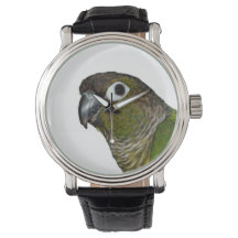 Conure verte à mâcher