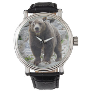 Montre Cook bear