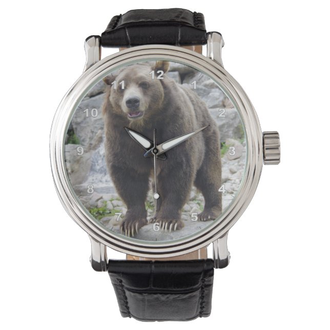 Montre Cook bear (devant)