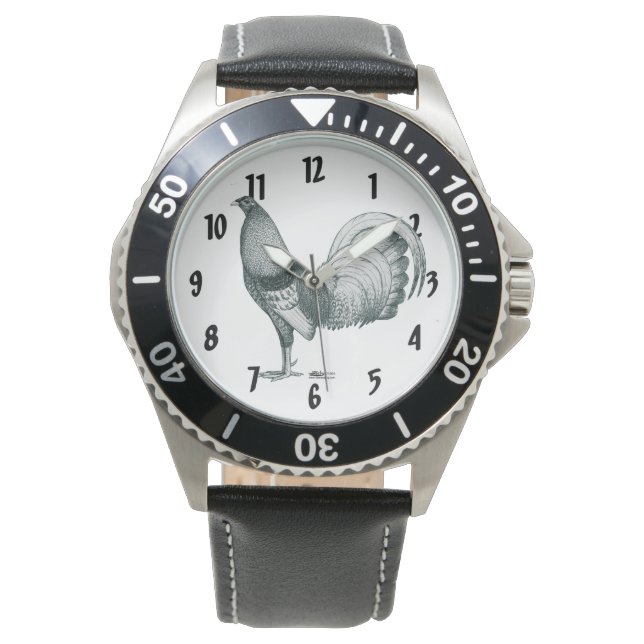 Montre coq de combat Crele ou Dom (devant)