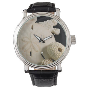 Montre Coquilles blanches et dollar de sable