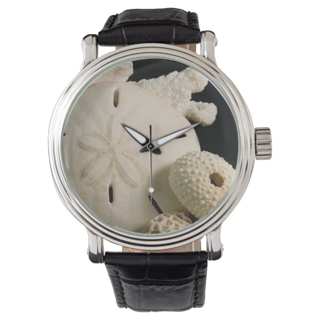 Montre Coquilles blanches et dollar de sable (devant)