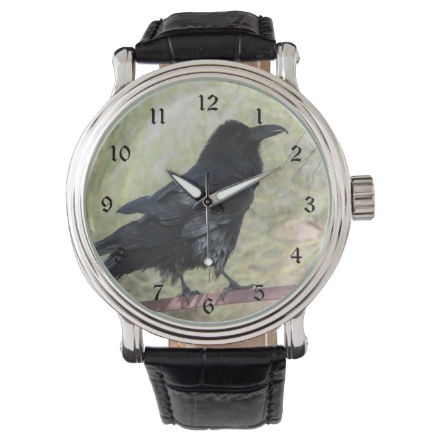 Montre Corbeau (devant)