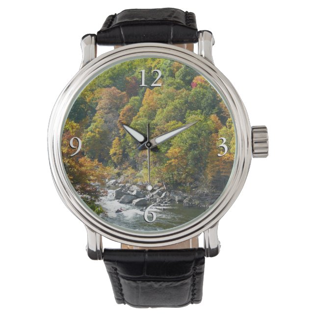 Montre Couleur d'automne dans le parc d'état d'Ohiopyle (devant)