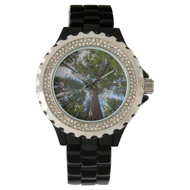 Montre couvert de sapin de Douglas (devant)