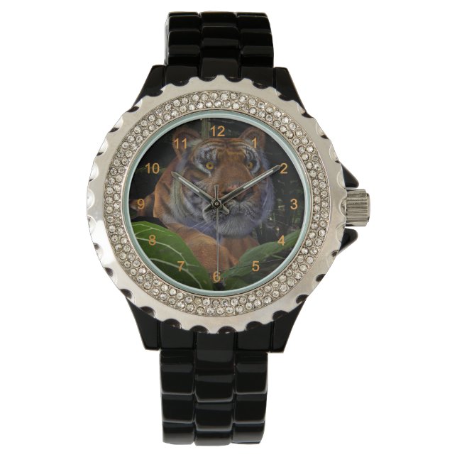 Montre Crouching des tigres dans la jungle (devant)
