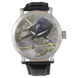 Montre Crow à la croisée des chemins