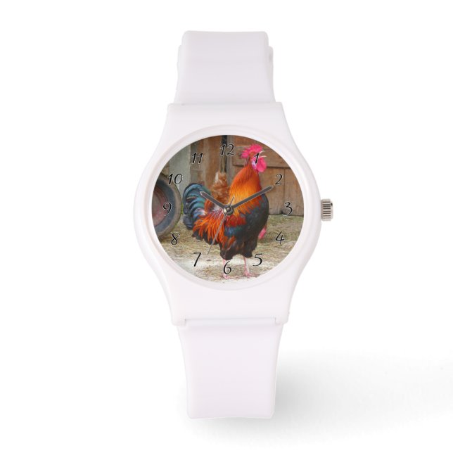Montre Crowing Red Rooster de Rhode Island (Recto)