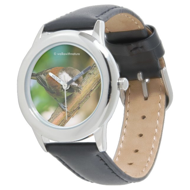 Montre Curieux mignon poulet à dos de châtaignier sur la  (Incliné)