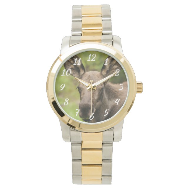 Montre Curieux orignal (devant)