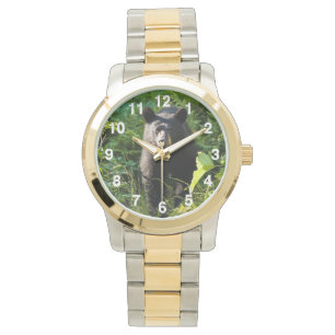 Montre Curieux ours noir