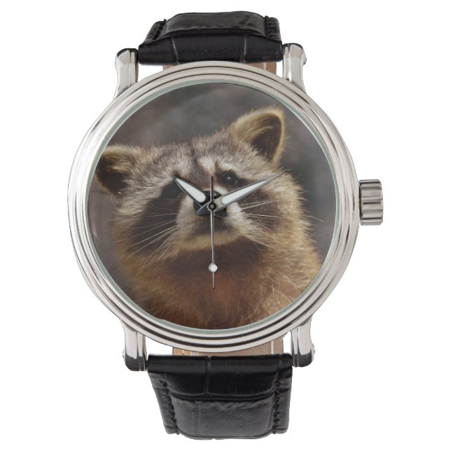 Montre Curieux Raccoon (devant)
