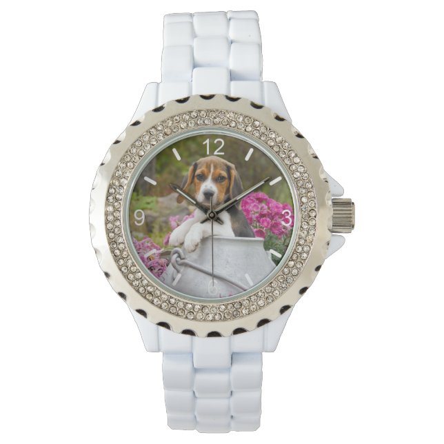 Montre Cute Beagle Chien Chien Chiot Lait Femme Tchétchèn (devant)