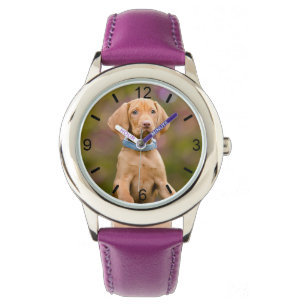 Montre Cute Hongroise Vizsla Chien Chien Chien Puppy Phot