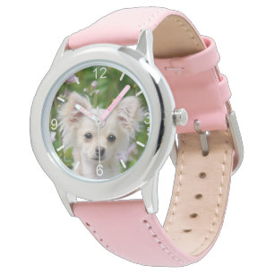 Montre Cute longhair crème Chihuahua Dog Puppy