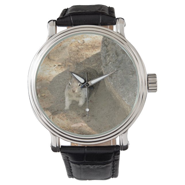 Montre Cute Squirrel en Yosemite, Californie (devant)