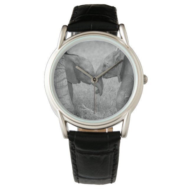 Montre Cutest Baby Animals | Baby Elephants Greeting (devant)