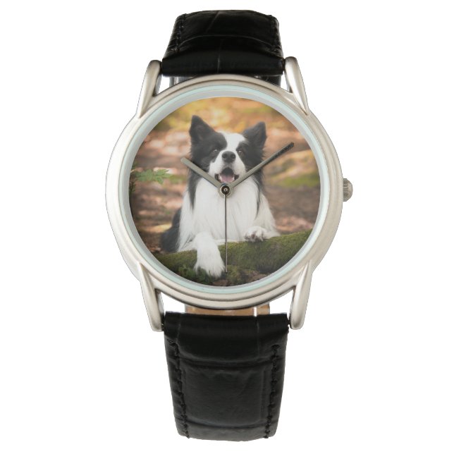 Montre Cutest Baby Animals | Black and White Border Colli (devant)