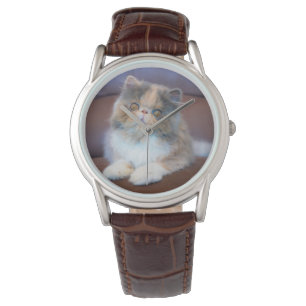 Montre Cutest Baby Animals Calico Persian Kitten