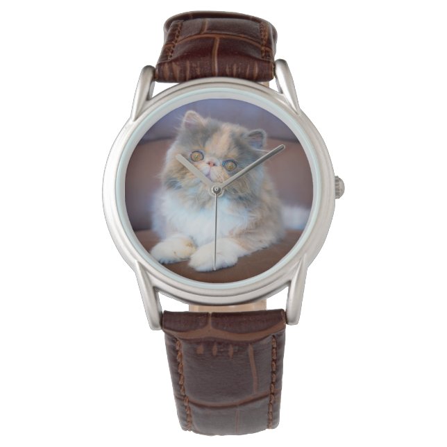 Montre Cutest Baby Animals | Calico Persian Kitten (devant)