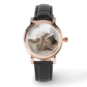 Montre Cutest Baby Animals   Shorthair Tabby Kitten