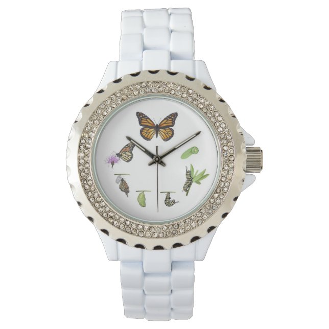 Montre Cycle de vie des papillons monarques (devant)