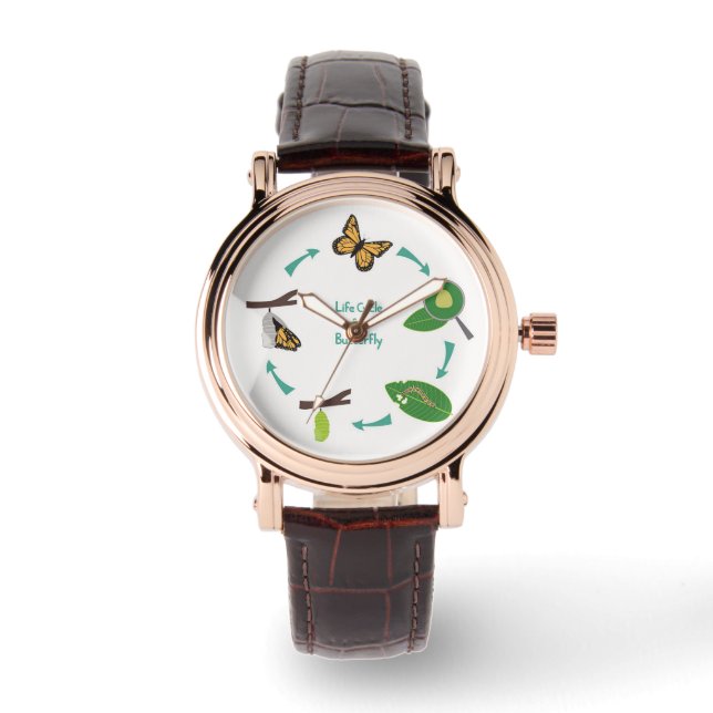 Montre Cycle de vie du papillon monarque (Recto)