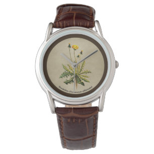 Montre Dandelion Sur Vieux Papier